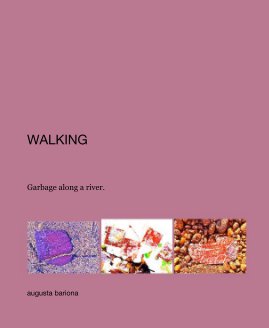 WALKING book cover
