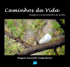 Caminhos da Vida book cover