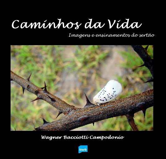 View Caminhos da Vida by Wagner Bacciotti Campodonio