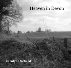 Heaven in Devon book cover