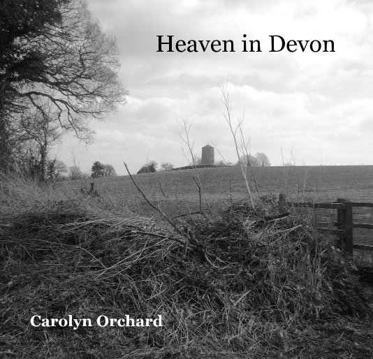 View Heaven in Devon by Carolyn Orchard