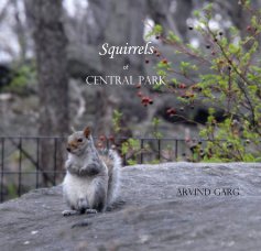 Squirrels of Central Park book cover