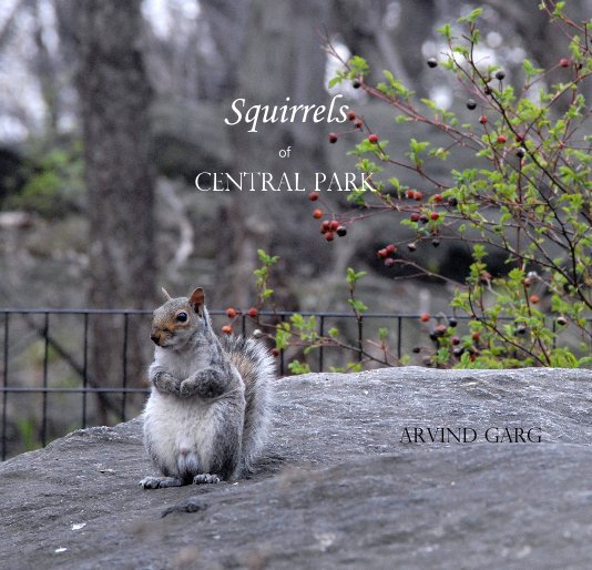 View Squirrels of Central Park by Arvind Garg