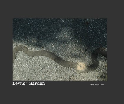Lewis' Garden book cover