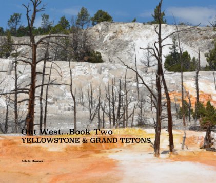 Out West...Book Two YELLOWSTONE & GRAND TETONS book cover