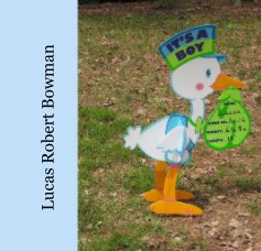 Lucas Robert Bowman book cover