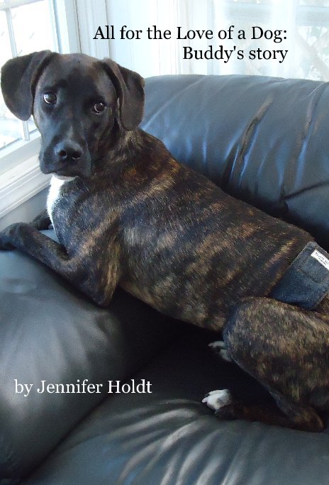 View All for the Love of a Dog: Buddy's story by Jennifer Holdt