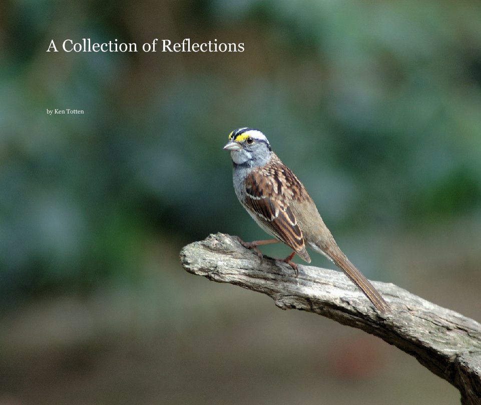 View A Collection of Reflections by Ken Totten