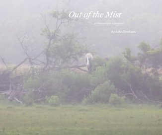 Out of the Mist book cover