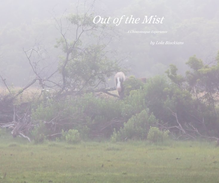 Visualizza Out of the Mist di Lola Biuckians