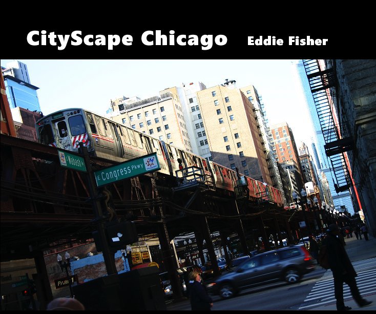 View CityScape Chicago by Eddie Fisher