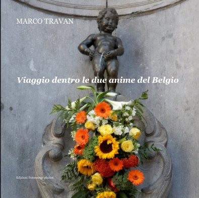 MARCO TRAVAN Viaggio dentro le due anime del Belgio book cover