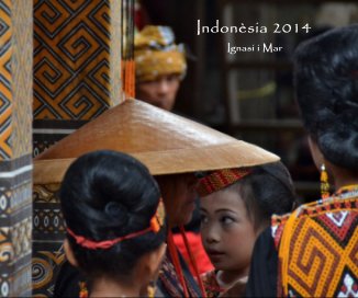 Indonesia 2014 book cover