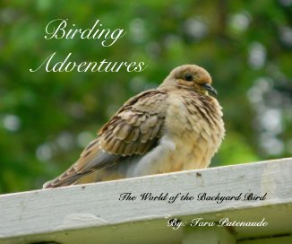 Birding Adventures book cover