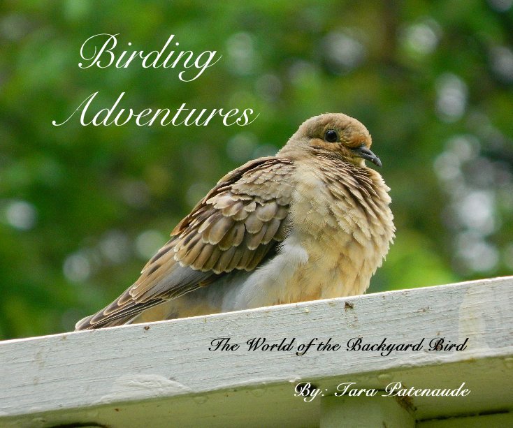 View Birding Adventures by By: Tara Patenaude
