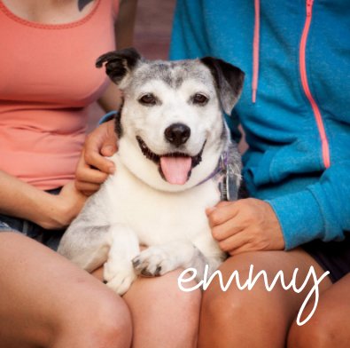 emmy book cover
