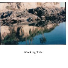 Working Title book cover
