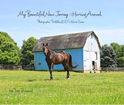 My Beautiful New Jersey : Horsing Around book cover