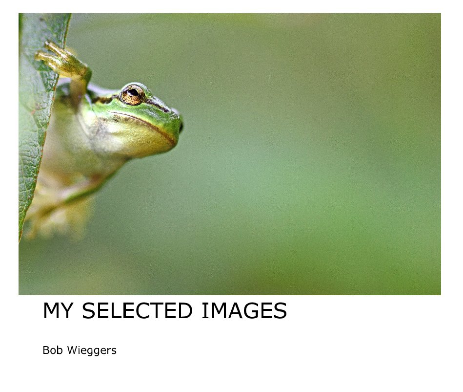 Ver MY SELECTED IMAGES por Bob Wieggers