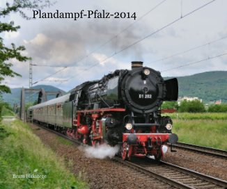 Plandampf-Pfalz-2014 book cover