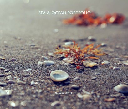 SEA & OCEAN PORTFOLIO book cover