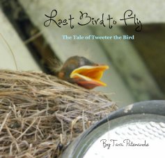 Last Bird to Fly book cover