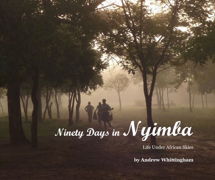 View Ninety Days in Nyimba by Andrew Whittingham