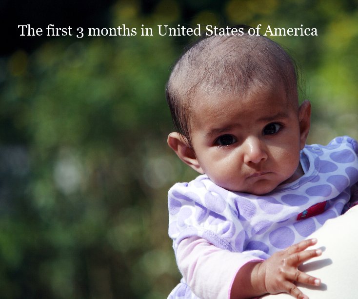 Visualizza The first 3 months in United States of America di Arindam Sen