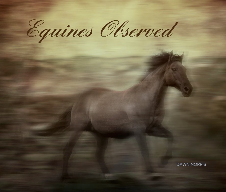 Ver Equines Observed por DAWN NORRIS