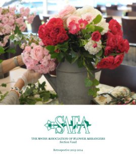 Safa Saison 2013 - 2014 book cover