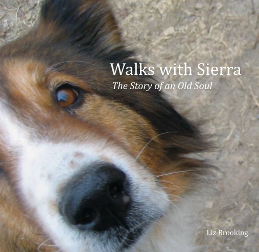 View Walks with Sierra 2014 by Elizabeth Brooking