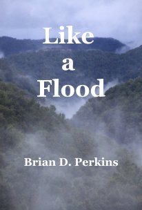Like a Flood book cover