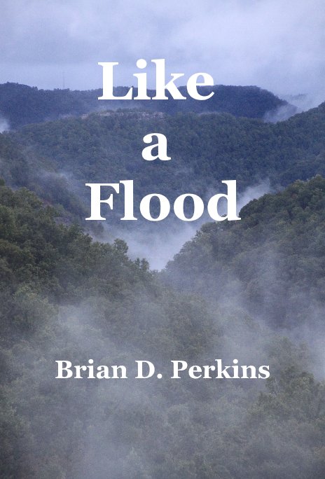 View Like a Flood by Brian D. Perkins
