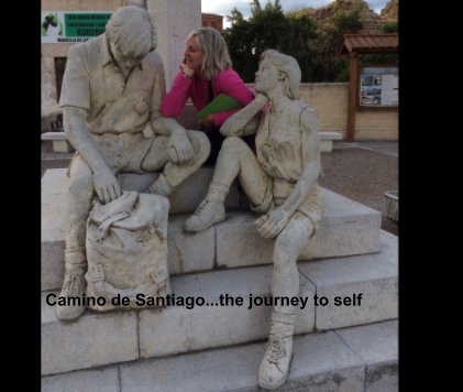 Camino de Santiago...the journey to self book cover