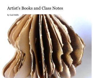 Artist's Books and Class Notes book cover