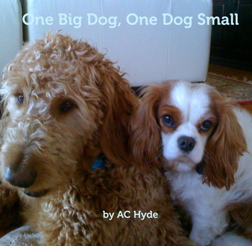 View One Big Dog, One Dog Small by AC Hyde
