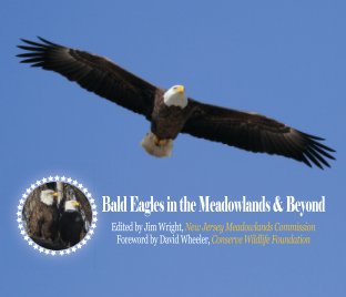 Bald Eagles in the Meadowlands & Beyond book cover