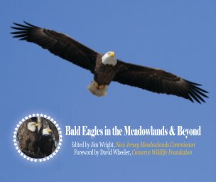 Bald Eagles in the Meadowlands & Beyond - Soft book cover