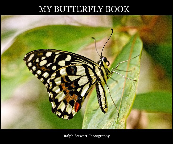 View MY BUTTERFLY BOOK by Ralph Stewart Photography