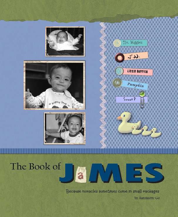 View The Book of James by Antoinette C. Go