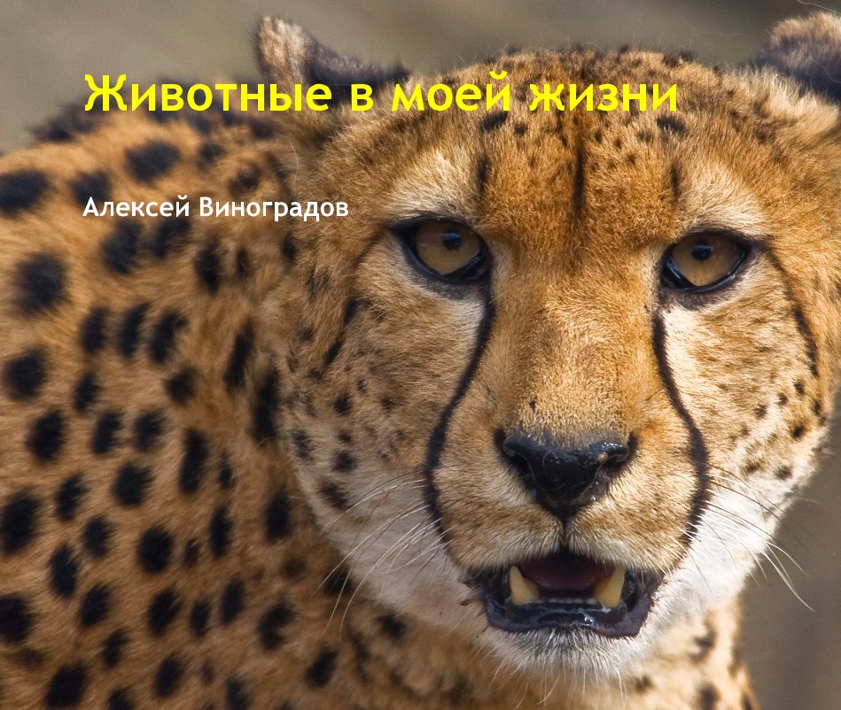 View Животные в моей жизни by Алексей Виноградов