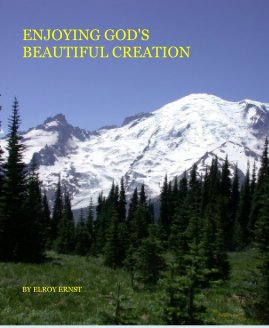 ENJOYING GOD'S BEAUTIFUL CREATION book cover
