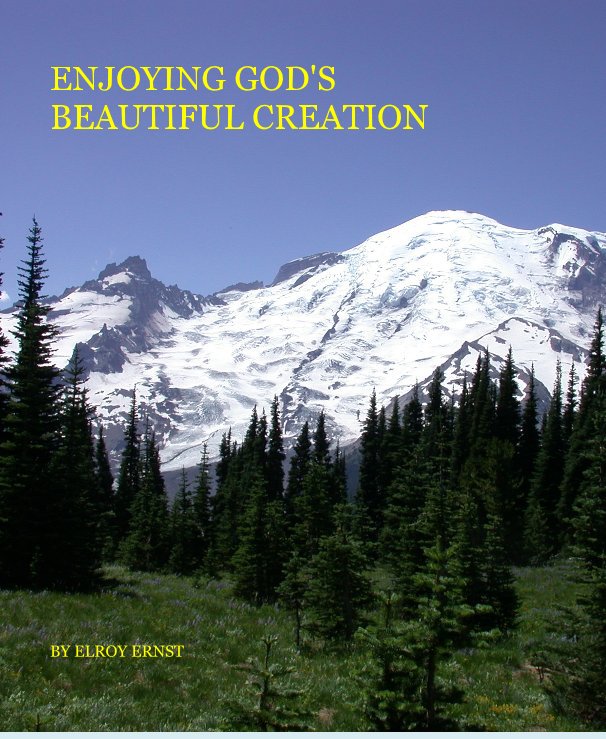 Visualizza ENJOYING GOD'S BEAUTIFUL CREATION di ELROY ERNST