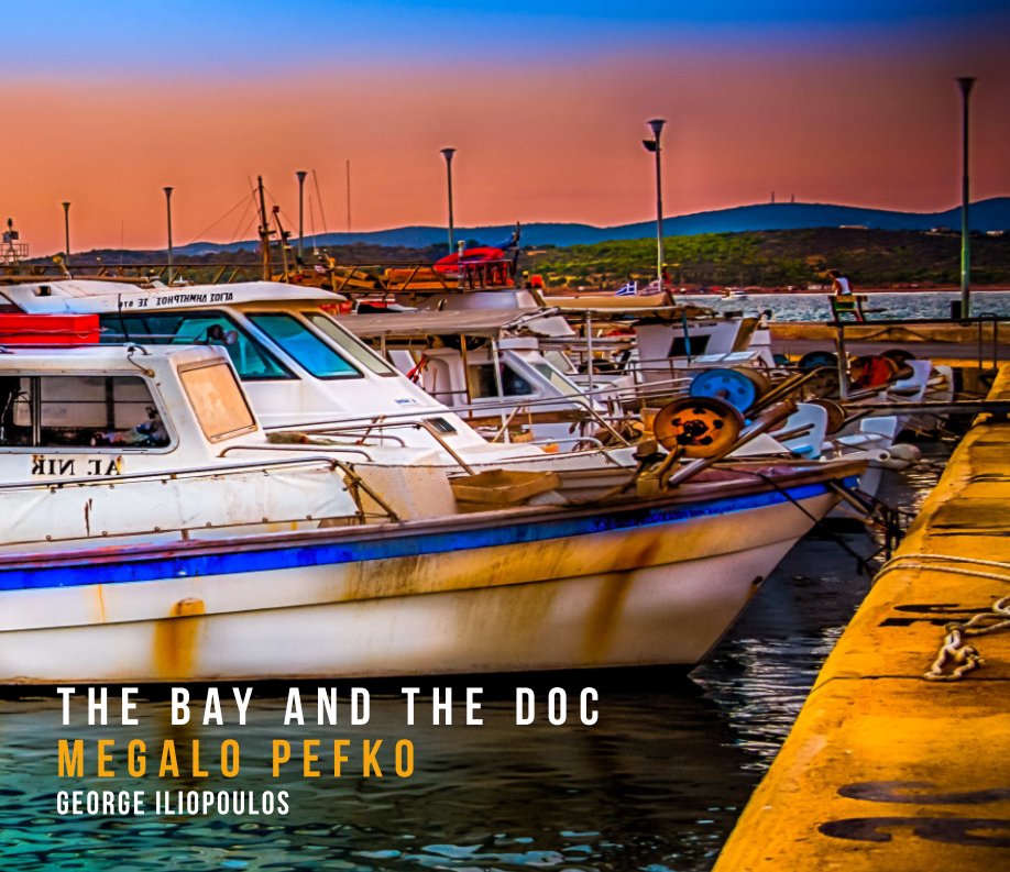 Bekijk the doc and the bay op george iliopoulos