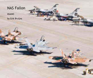 NAS Fallon book cover