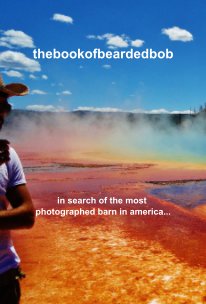 thebookofbeardedbob book cover