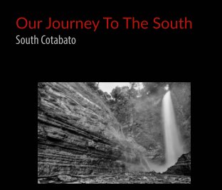 Our Journey To The South book cover