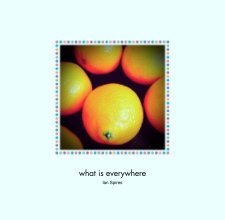 what is everywhere book cover