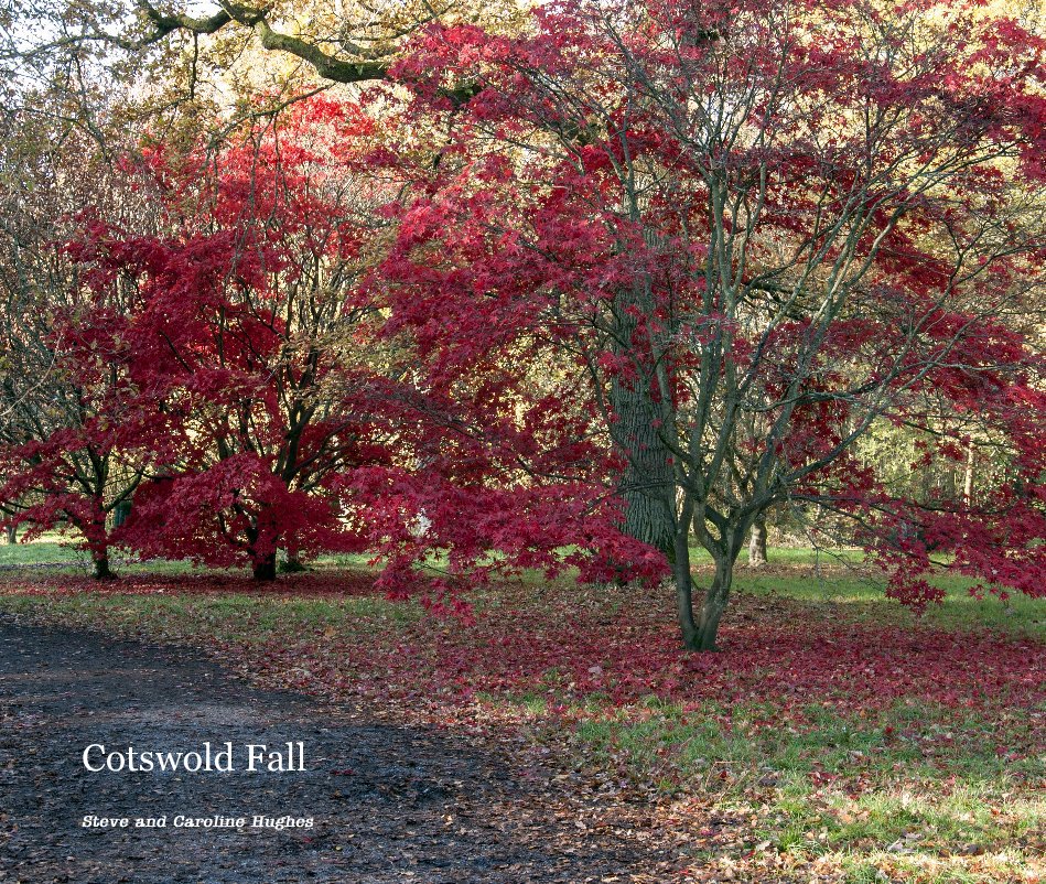 View Cotswold Fall by Steve and Caroline Hughes