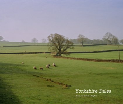 Yorkshire Dales book cover